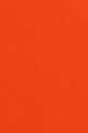 39 Orange Poppy