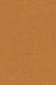 Pecan