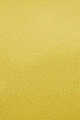 Dark Yellow