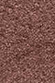 Burnished Bronze