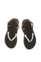  Zoi Crystals Flats