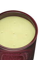 Tubéreuse Candle