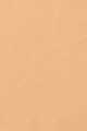 NEUTRAL
