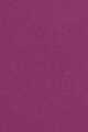 06 Pourpre Camarine