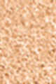 2N