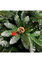 New Jersey Spruce Tree