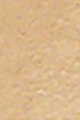 Warm Beige