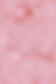 N°1 Pink Peony