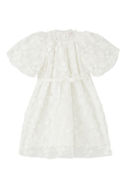 Kids Floral Applique Tulle Dress