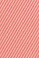 N°23 Rose Blush​