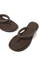 Sumi Slides