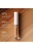 Real Flawless Weightless Perfecting Serum Concealer
