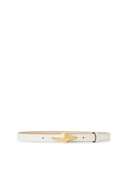 Diamond Clasp Belt