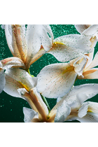 Emerald Musk Eau de Parfum