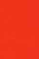 Corail Jaipur
