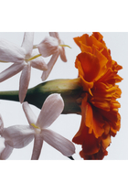 Jasmine Sambac & Marigold Cologne Intense