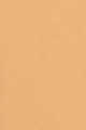 2N1 Desert Beige