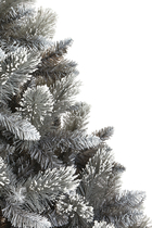 Snow-Tipped Fir Tree
