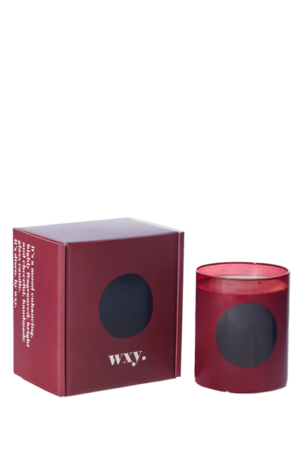Disco Candle - Velvet Woods + Amber