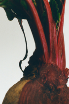 Beetroot Wax Candleholder