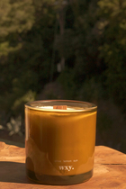 Candle Roam - Olive Lemon Sun