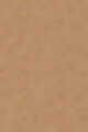 5W2 RICH CARAMEL