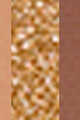 29 DESERT FOX