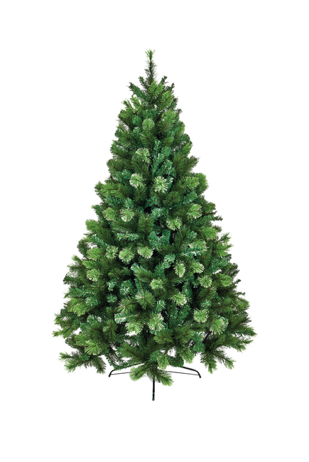 Nevada Fir Tree
