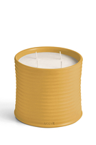 Large Wasabi Scented Candle