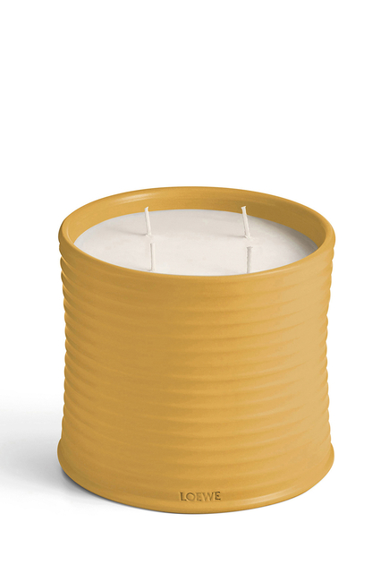 Large Wasabi Scented Candle