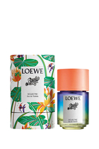 Paula's Ibiza Eclectic Eau de Toilette