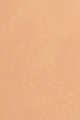 3W1 Warm Almond