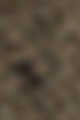 4 Dark Brown