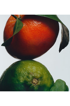 Lime Basil and Mandarin Body and Hand Wash