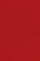 1 Red Camellia