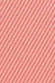 N°23 Rose Blush