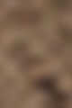 01 Taupe Gray Blonde