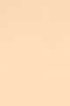 2N1 Desert Beige