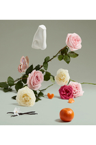 Duchess Rose Eau de Parfum