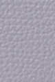 Light/Pastel Purple