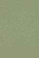Medium Green (New)