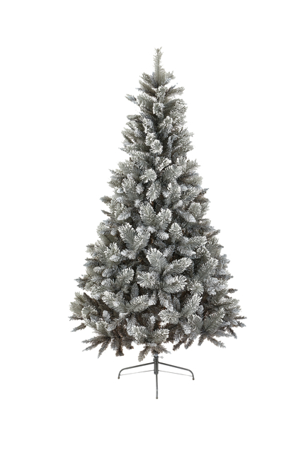 Snow-Tipped Fir Tree
