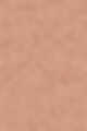 1C0 Silk