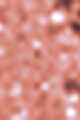 N°3 Coral
