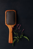 Wooden Paddle Brush