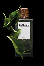 Un Paseo Por Madrid Prado Eau de Parfum