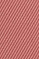 N°61 Rose Feu