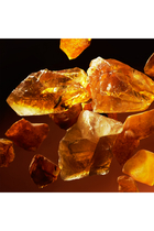 Precious Amber Refill