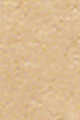 Warm Sand