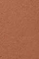 Golden Tan